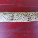 Bâton décoré par des insectes