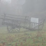 Charrette dans la brume